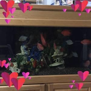 Meet your Posher, Kien